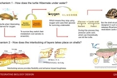 06-Biomimicry-Workshop-.jpeg-nggid03910-ngg0dyn-240x160x100-00f0w010c011r110f110r010t010