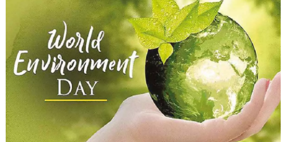 Meaningful action & sustainable choices play an imperative role in reducing carbon emissions