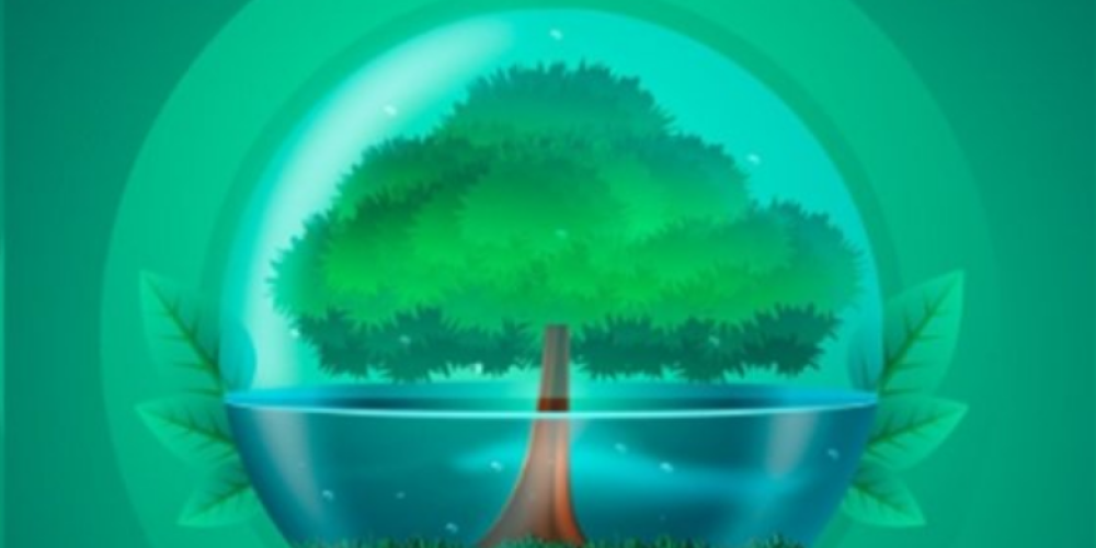 Beyond the Green Logo: What World Environment Day Actually Demands In 2026